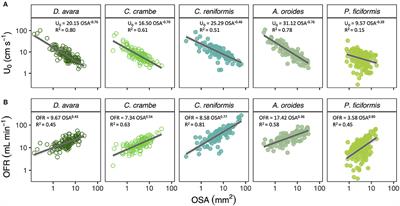 In situ Pumping Rate of 20 Marine Demosponges Is a Function of Osculum Area